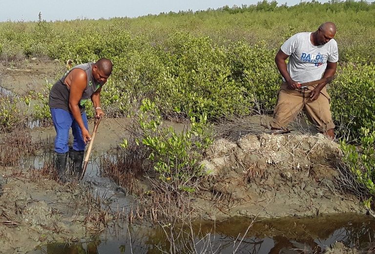 Hombres de mangle en Caimanera