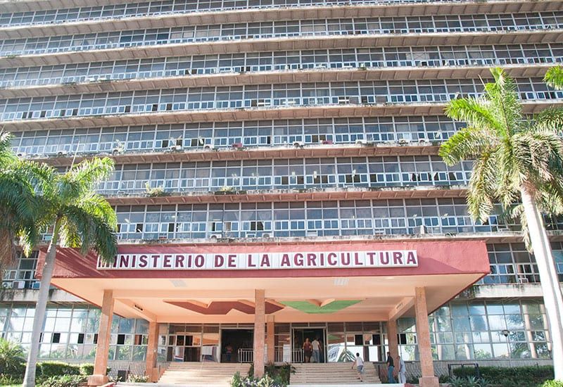 4.ministerio de la agricultura 0