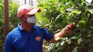 IX Seminario Científico Internacional de Sanidad Vegetal