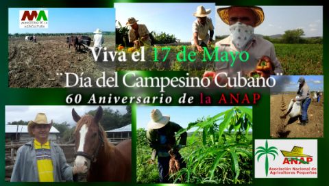 La Delegación de la Agricultura en Holguín; Felicita a los campesinos en su nuevo Aniversario