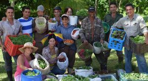 13er Encuentro de Agroecología, Agricultura Orgánica y Sostenible