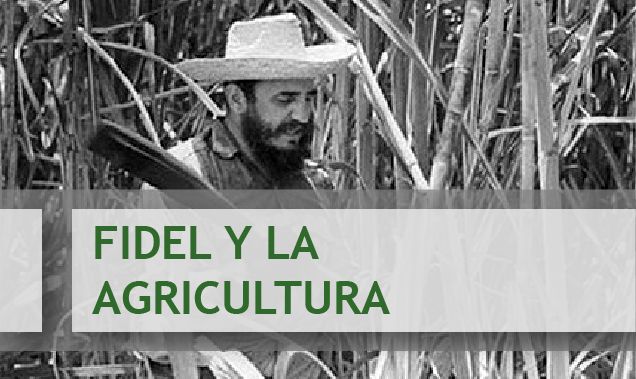 Fidel y la Agricultura