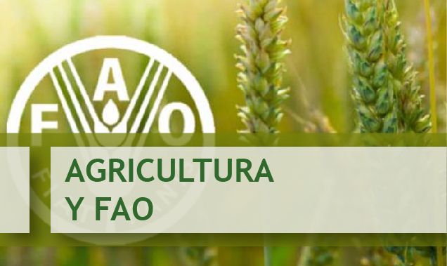logo Agricultura y FAO