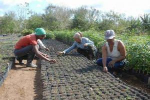 1er Simposio de Jóvenes Agroecólogos (SIJA 2021)