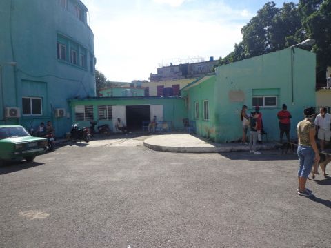 Avanza programa para la recuperación de la red de clínicas y consultorios veterinarios en La Habana