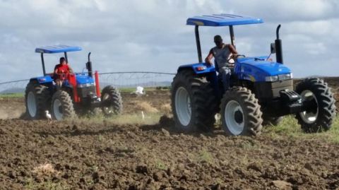 Aprueba Mincin contrato directo de insumos y maquinarias por productores agropecuarios