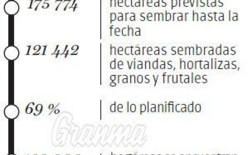 Hortalizas y viandas: de la campaña de frío a la de primavera
