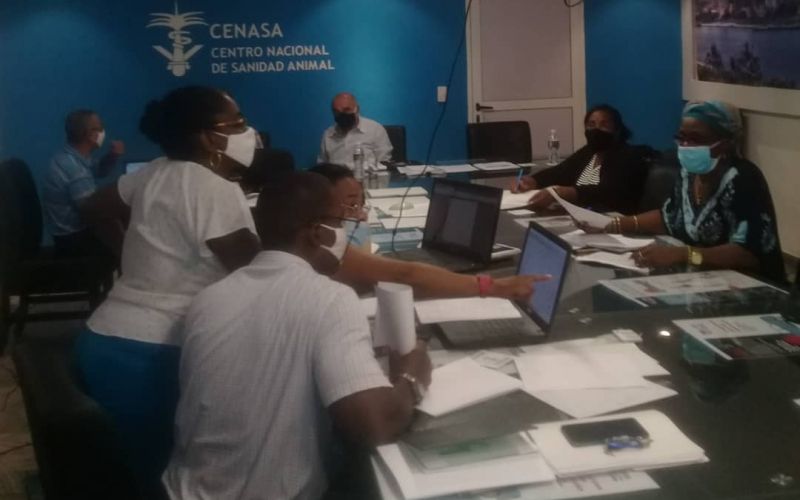 Meteoro 2021: Simulacro del Centro Nacional de Sanidad Animal ante posible afectación de Peste Porcina Africana en el territorio nacional