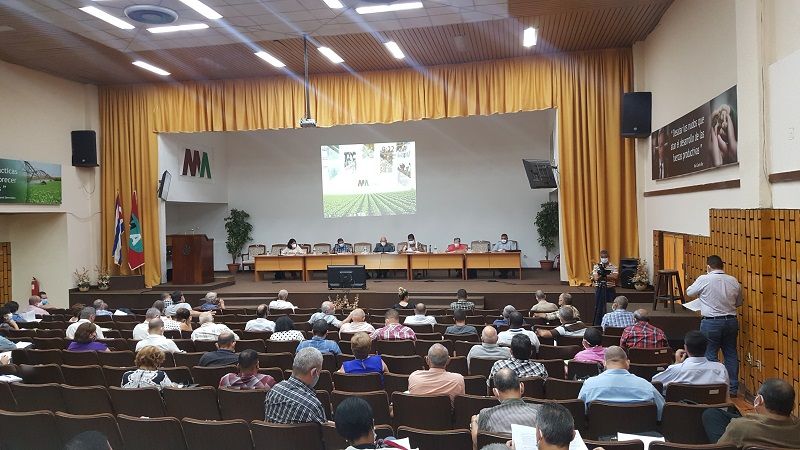 Rinden cuentas organismos involucrados en la implementación de las 63 medidas para dinamizar la producción de alimentos de Cuba