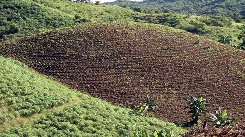 Desarrollan acciones para la conservación de los suelos en Cienfuegos