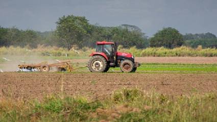 Vicepresidente cubano intercambia con productores agrícolas holguineros