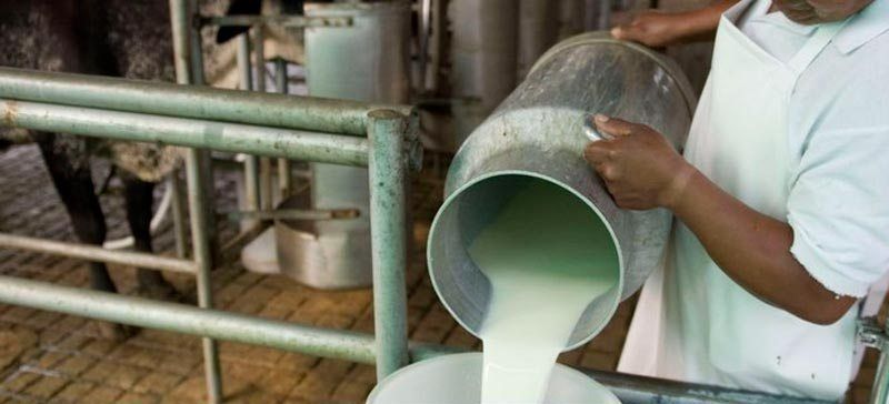 produccion leche provincia las tunas. Impacto de cara a las 63 medidas