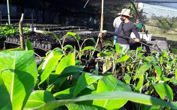 Ministerio de Agricultura aprueba reglamento sobre polos productivos(+PDF)