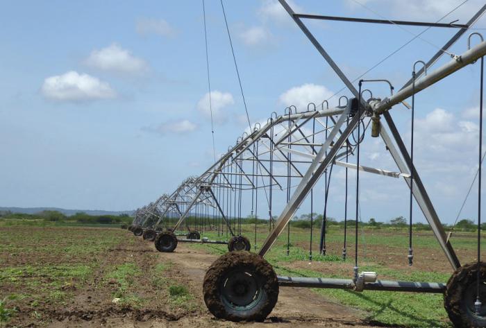 Sequía productiva en tierras fértiles