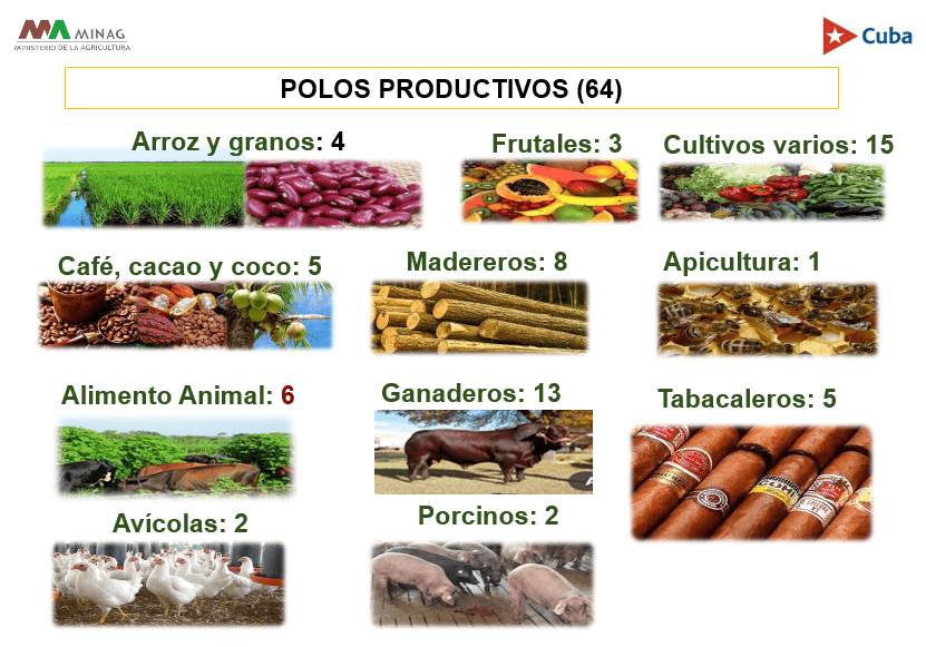 Viceministro de la Agricultura informa situación de Polos Productivos Agropecuarios y Forestales en Cuba(+PDF)