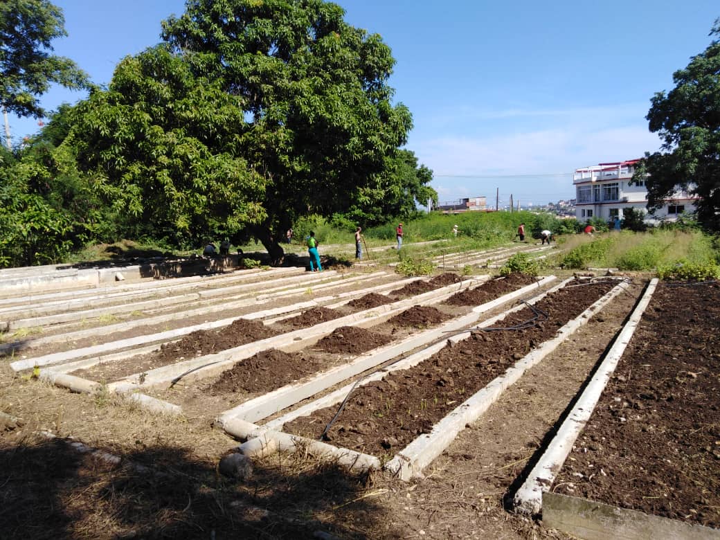 Zonificación agroproductiva de los suelos