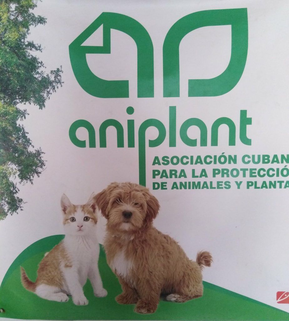 ANIPLANT apoya la respuesta de los gobiernos municipales ante la solicitud para realizar marchas con fines desestabilizadores