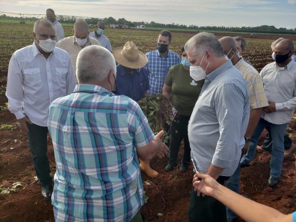 Díaz–Canel sobre la agricultura: Lo importante es que las buenas experiencias se multipliquen