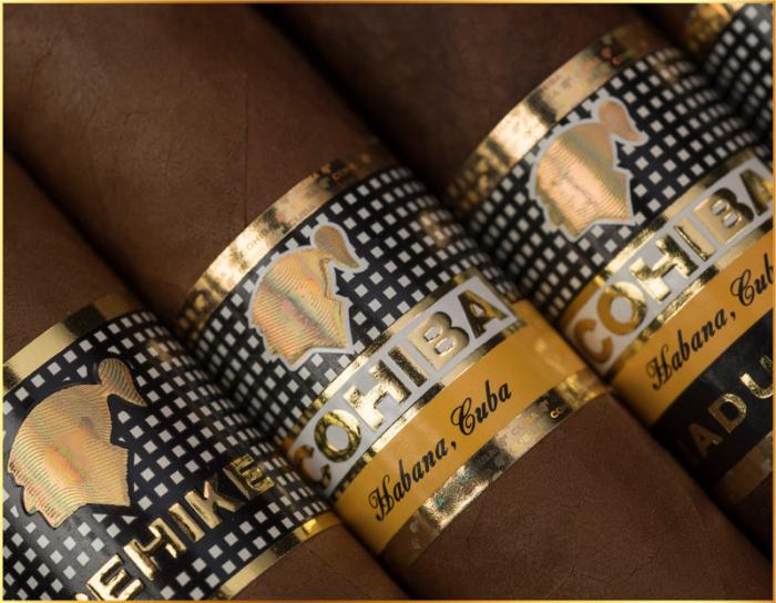 Comienzan las siembras del mejor tabaco del mundo (+Video)