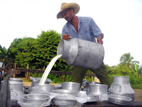 ¿Por qué se demora el pago de la leche acopiada y entregada?