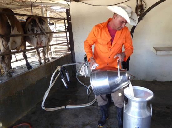 Hacer el porvenir