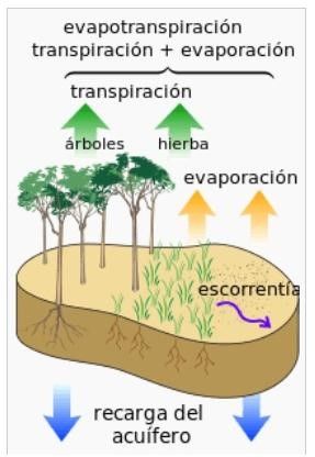 Aprovechamiento de la captación del agua de lluvia en la agricultura