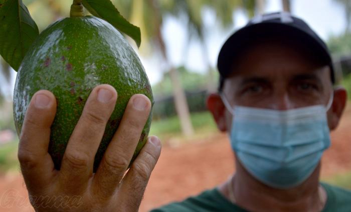 Aprovechar la tierra, sus frutos y hasta las cáscaras: a Pedro le funciona (+ Fotos)