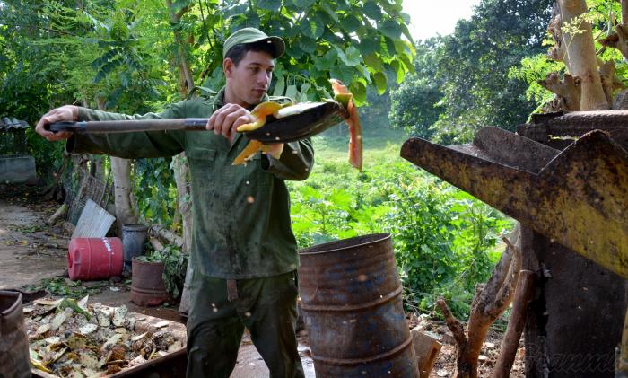 Aprovechar la tierra, sus frutos y hasta las cáscaras: a Pedro le funciona (+ Fotos)