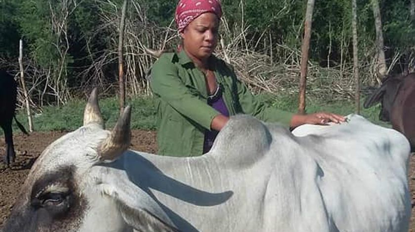 Geodarmis, una cubana de decisiones y tierras bravas