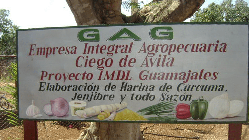 Proyecto de desarrollo local de Majagua suma a sus producciones otro condimento seco