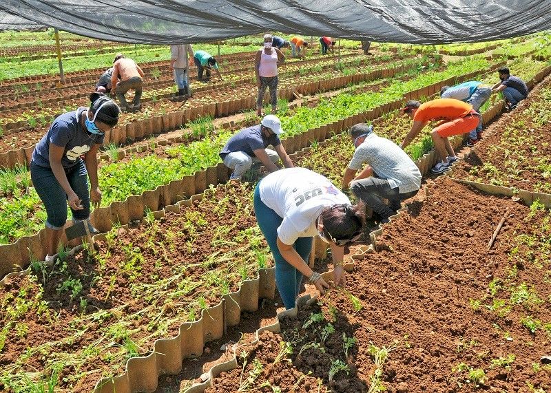 El enfoque de género en la producción agropecuaria local