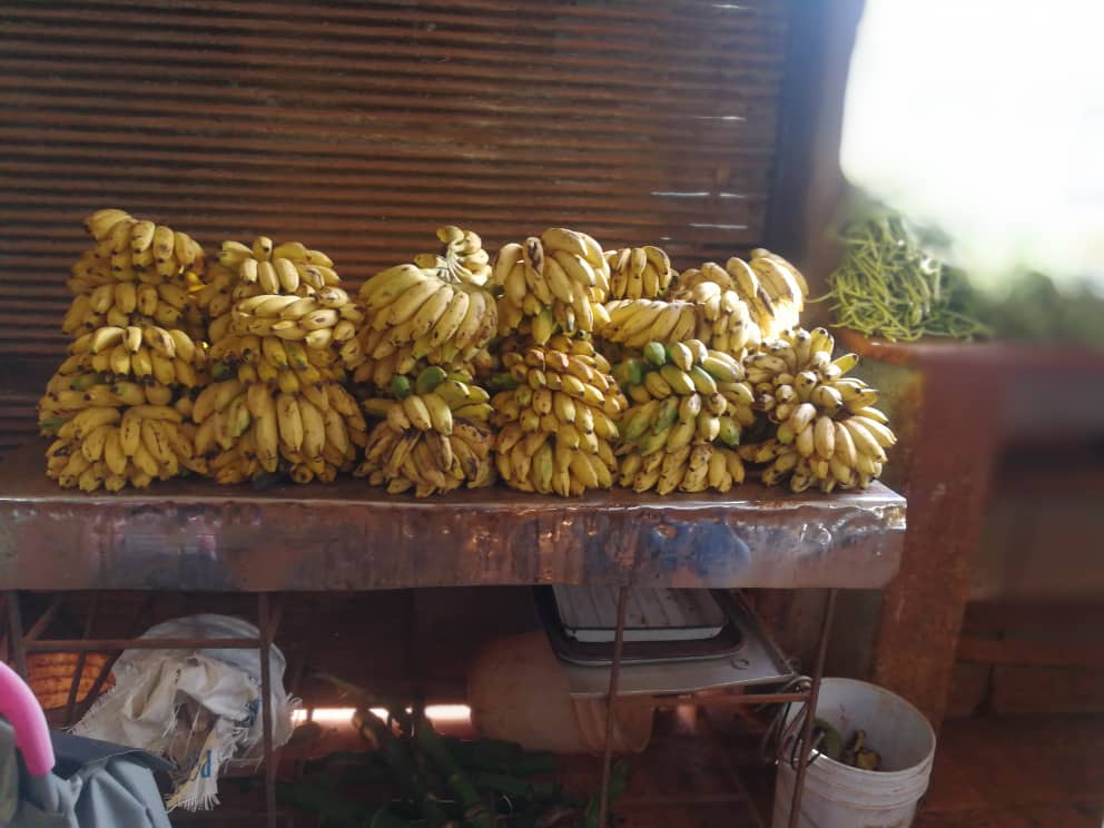 La soberanía alimentaria pasa por el desarrollo de la agricultura urbana, suburbana y familiar
