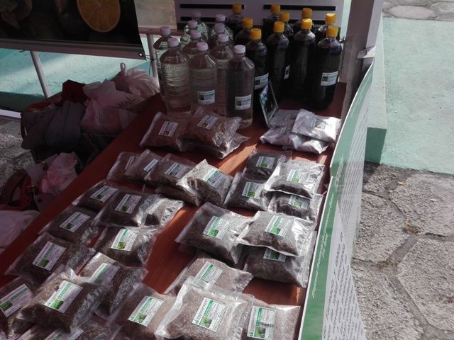 Disfrutan los tuneros de la Feria de Invierno