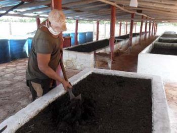 Talleres en busca de más y más sanos alimentos