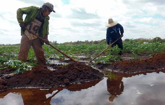 aprovechar la tierra. Talleres en busca de más y más sanos alimentos