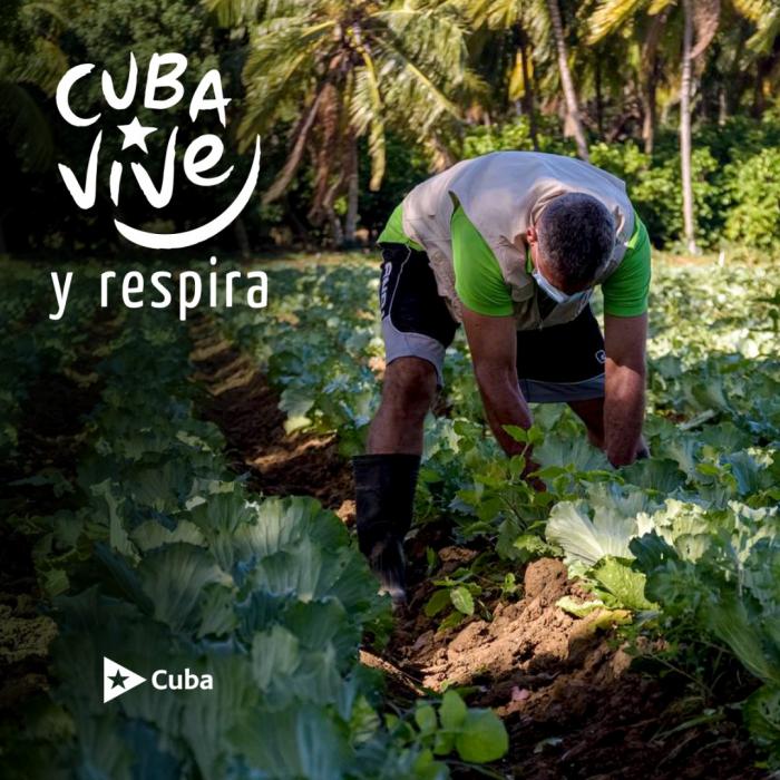 Cada medida para el fomento agropecuario necesita ya una expresión productiva.