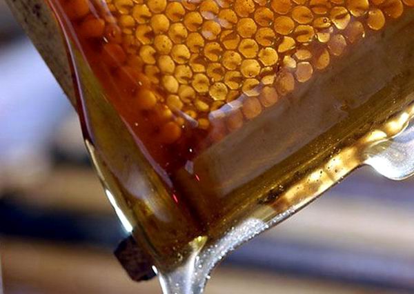 miel de abejas. Apicultores tuneros implantan nuevo récord con más de 522 toneladas de miel acopiadas y entregadas