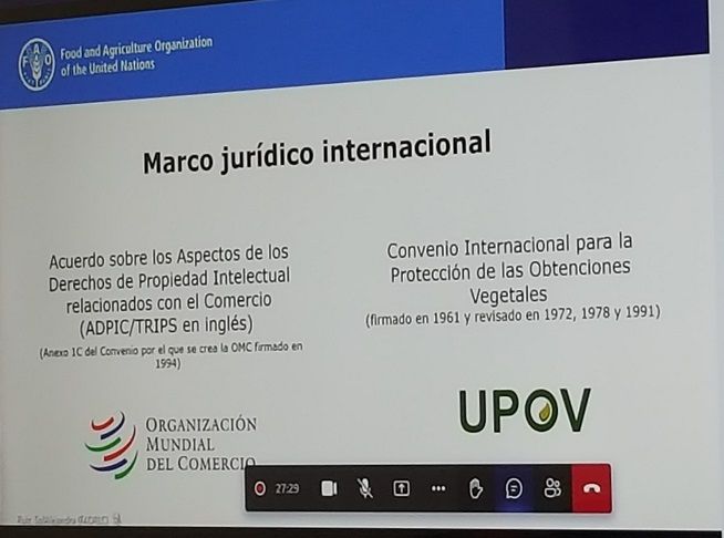 Intercambian expertos cubanos y de FAO Regional sobre propiedad intelectual en el sector agropecuario