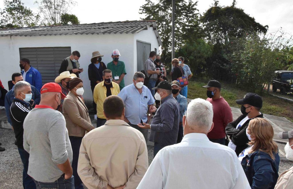 En Placetas: sin detenerse por recuperar la producción porcina