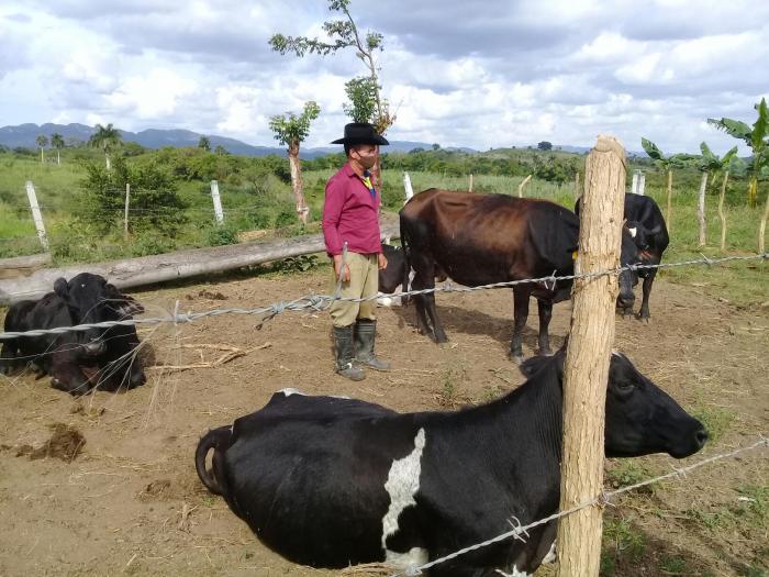 No solo con medidas habrá carne y leche