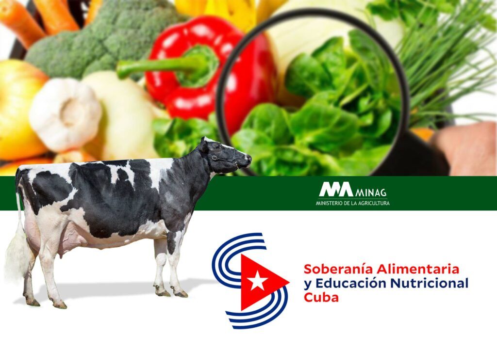 Tres importantes normas jurídicas del sector agropecuario cubano en Cronograma Legislativo del 2022