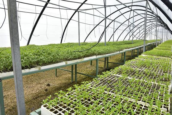 La innovación requiere más control y seguimiento en el sector empresarial y cooperativo