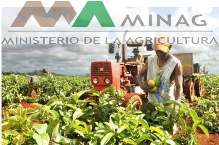 Más de 50 proyectos en la nueva Cartera de Oportunidades de Negocios en el sector agropecuario y forestal