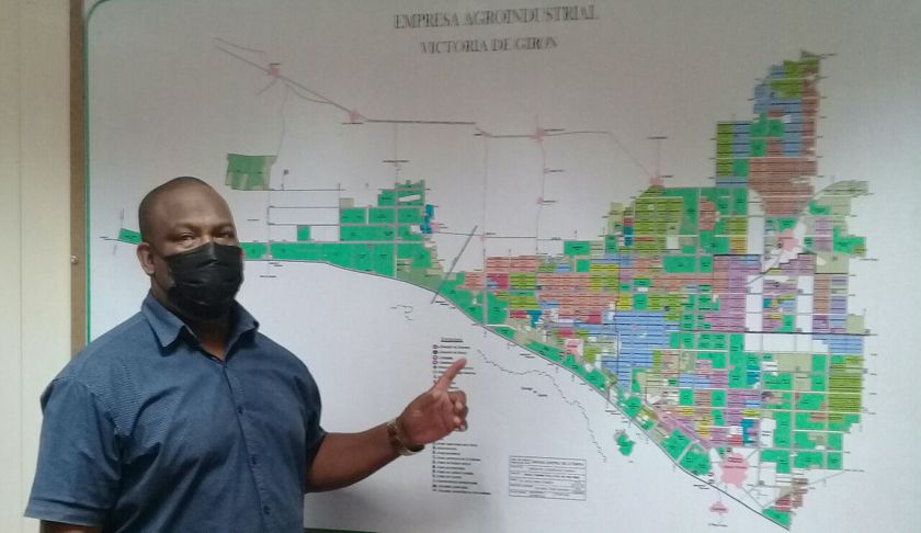 La Empresa Agroindustrial Victoria de Girón aspira a ser ese emporio citrícola que ideó Fidel