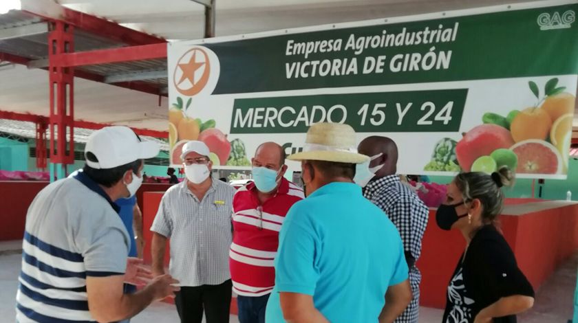 La Empresa Agroindustrial Victoria de Girón aspira a ser ese emporio citrícola que ideó Fidel