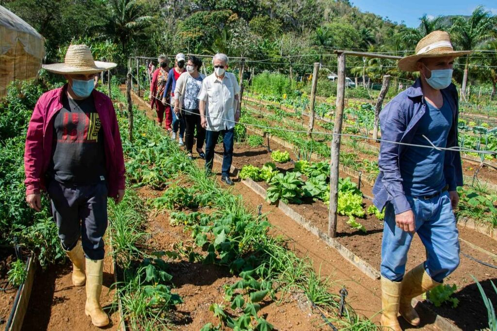 Frei Betto: el pueblo protagoniza plan de soberanía alimentaria en Cuba