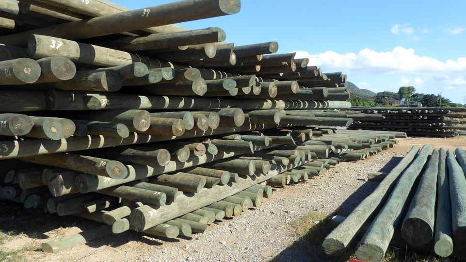 Pinar del Río retoma la producción de postes