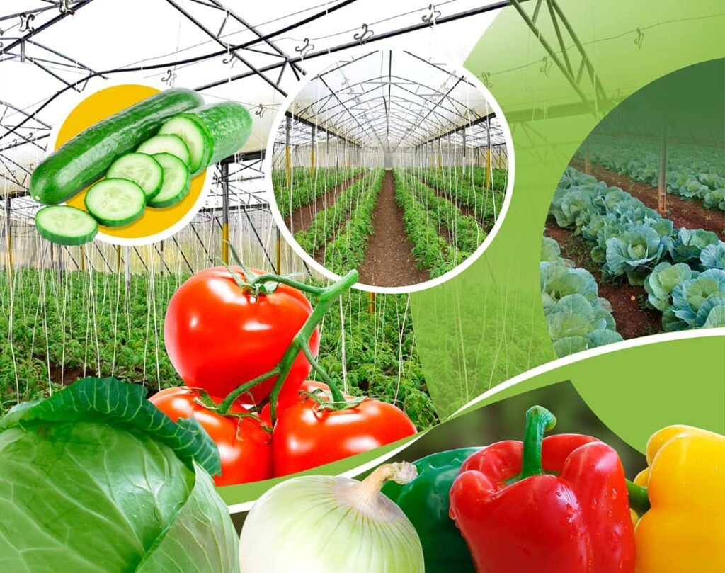 Plan de Soberanía Alimentaria y Educación Nutricional en Cuba por sustituir importaciones