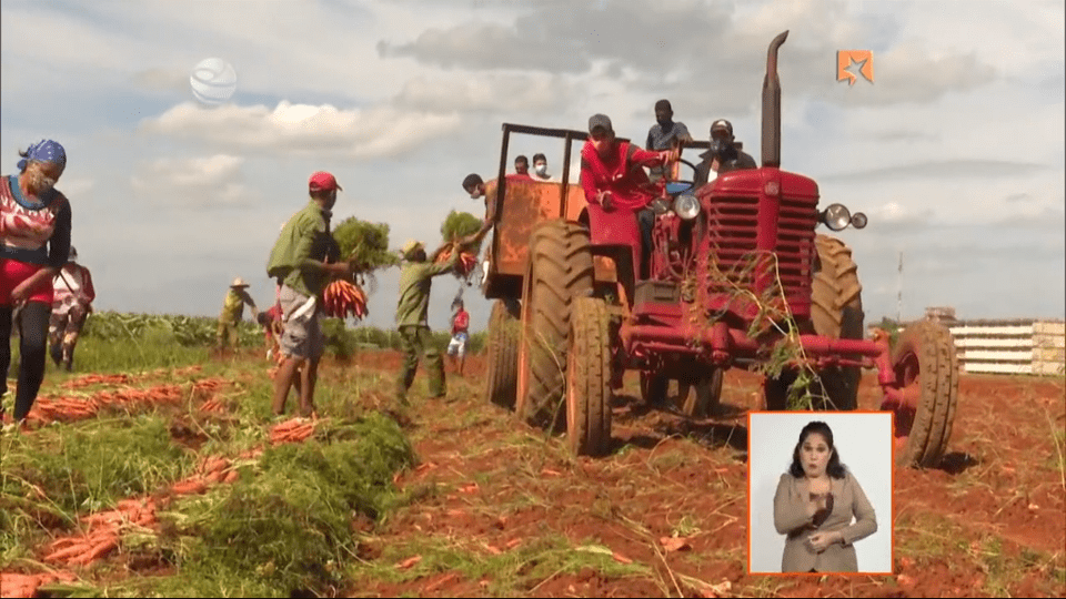 Ministro de la Agricultura actualiza sobre el proceso de implementación de las 63 medidas para dinamizar la producción agropecuaria