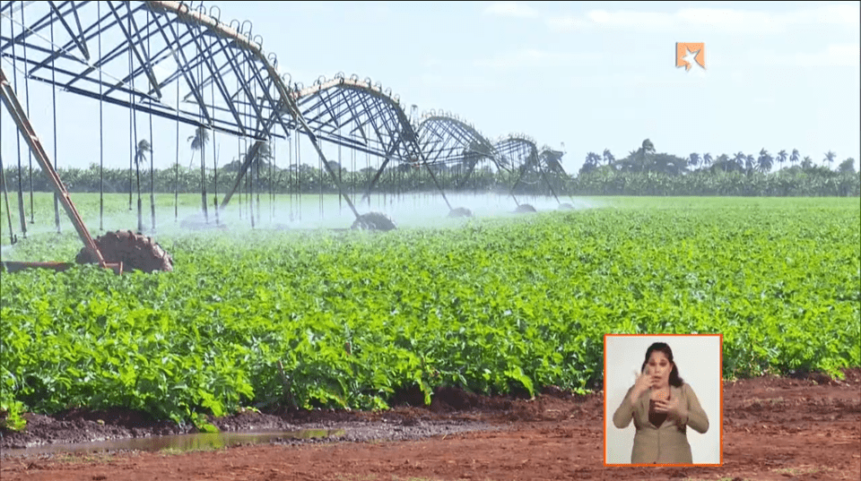 Ministro de la Agricultura actualiza sobre el proceso de implementación de las 63 medidas para dinamizar la producción agropecuaria